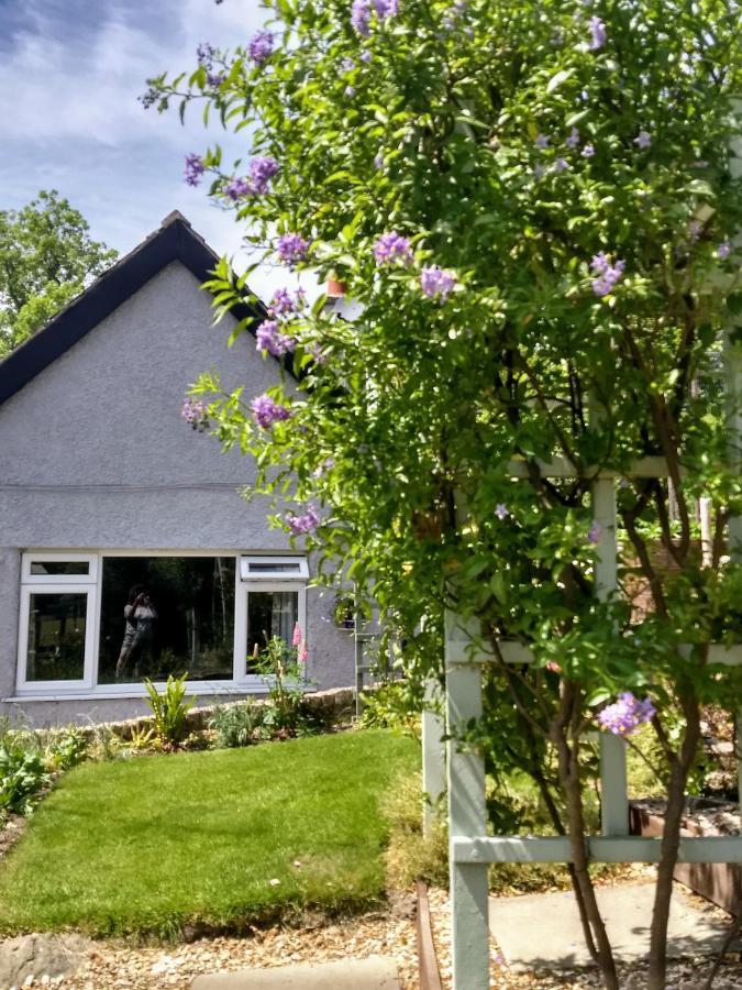 Bed and Breakfast Pentre Isaf Conwy Exteriér fotografie