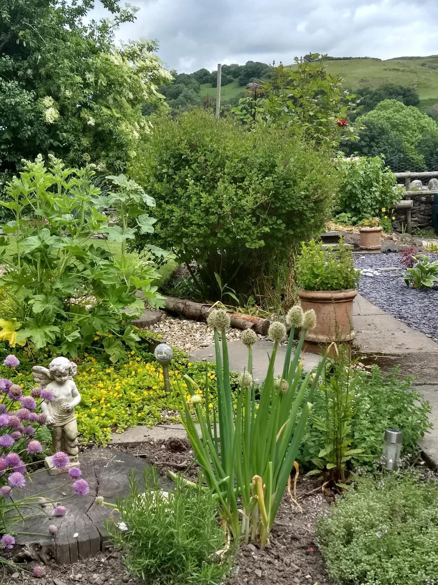Bed and Breakfast Pentre Isaf Conwy Exteriér fotografie